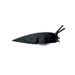 black_slug