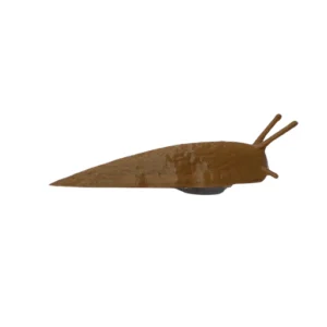 Lesma Magnetica - Castanho