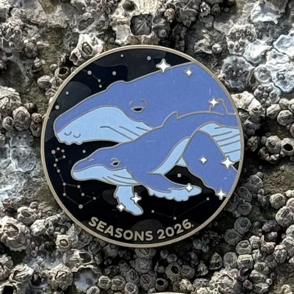 Geocoin de Temporada 2026 - Image 2